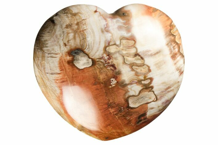 4.85" Polished Triassic Petrified Wood Heart - Madagascar